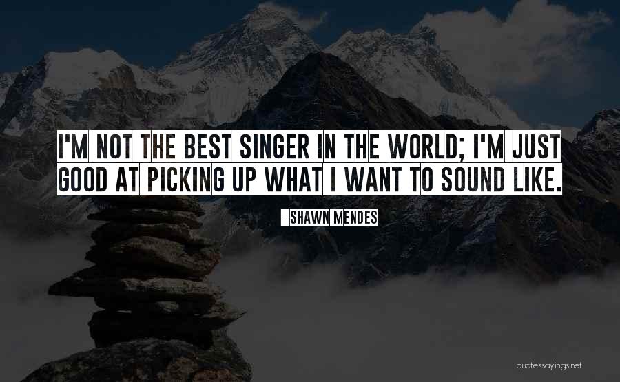 Shawn Mendes Quotes 1739024 Shawn Mendes Quotes 1739024