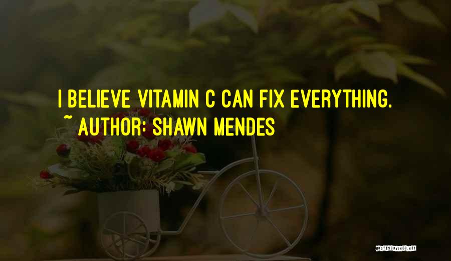 Shawn Mendes Quotes 2155325