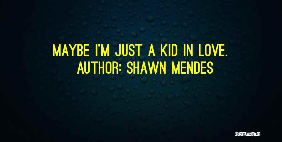 Shawn Mendes Quotes 451613
