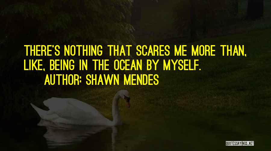 Shawn Mendes Quotes 803857