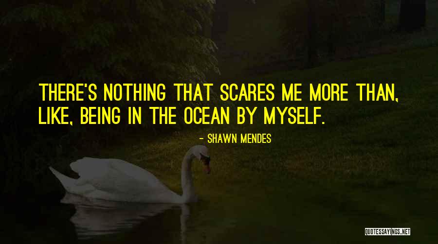 Shawn Mendes Quotes 803857 Shawn Mendes Quotes 803857