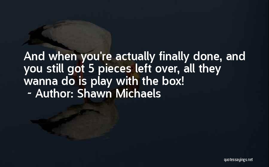 Shawn Michaels Quotes 1066452