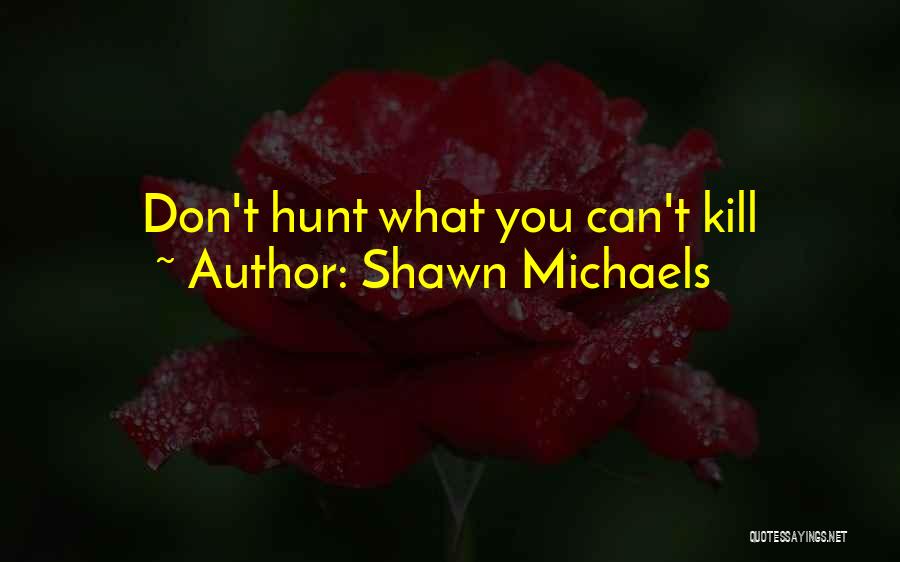 Shawn Michaels Quotes 1230995