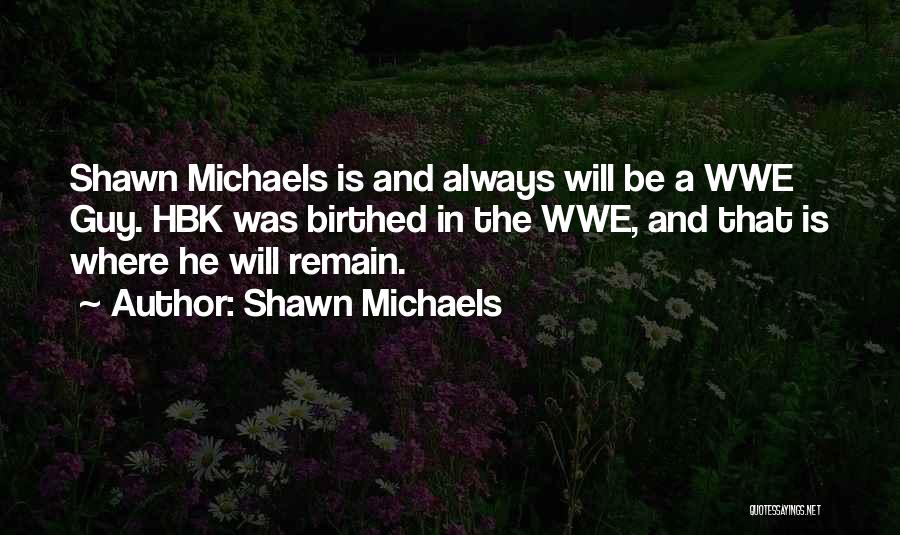 Shawn Michaels Quotes 348020