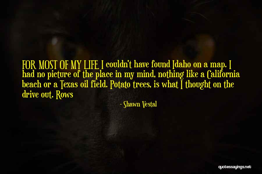 Shawn Vestal Quotes 1465915 Shawn Vestal Quotes 1465915