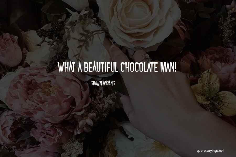 Shawn Wayans Quotes 1940677 Shawn Wayans Quotes 1940677