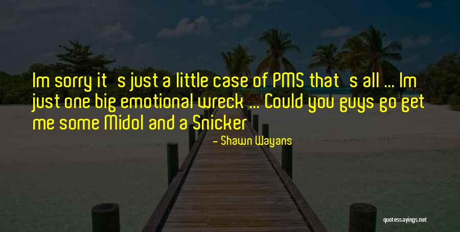 Shawn Wayans Quotes 2023540 Shawn Wayans Quotes 2023540