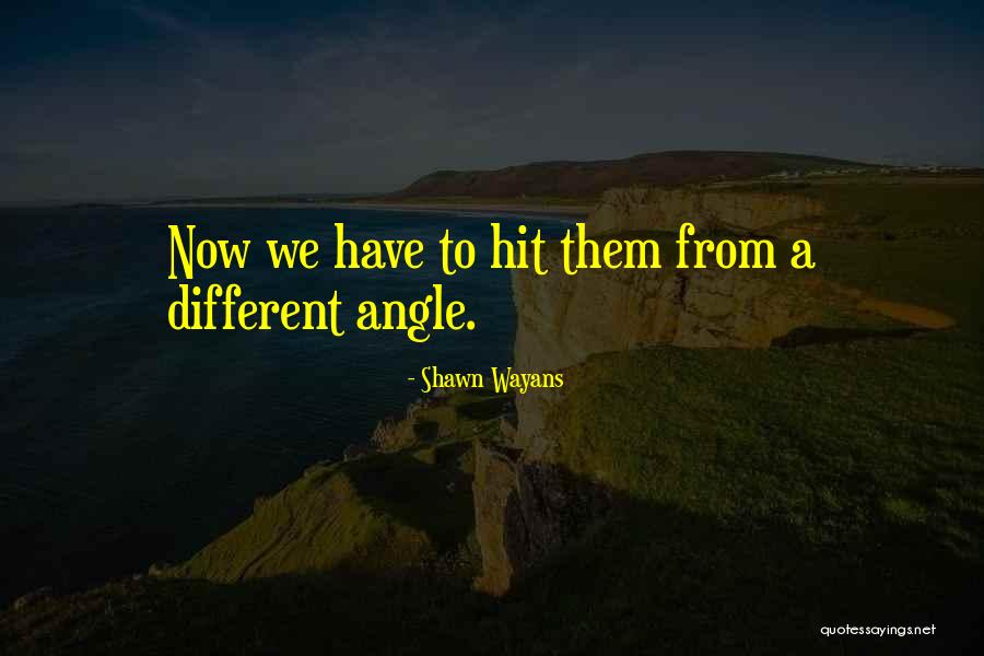 Shawn Wayans Quotes 985560 Shawn Wayans Quotes 985560