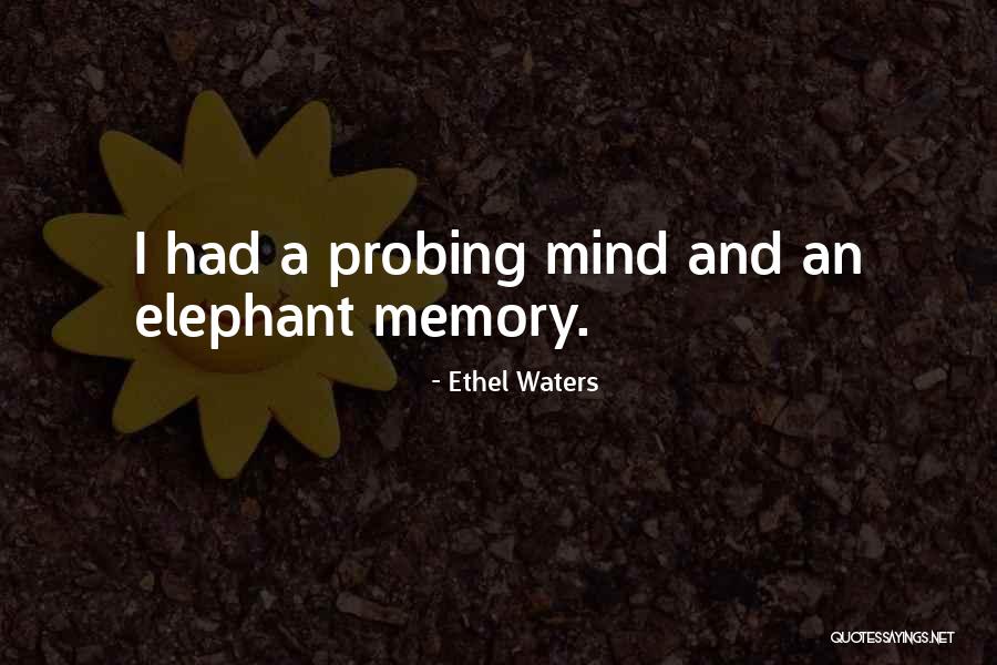 Shawnas 3d Shapes Video Quotes By Ethel Waters Shawnas 3d Shapes Video Quotes By Ethel Waters
