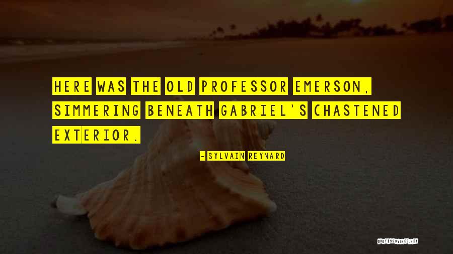 Shawnas 3d Shapes Video Quotes By Sylvain Reynard Shawnas 3d Shapes Video Quotes By Sylvain Reynard