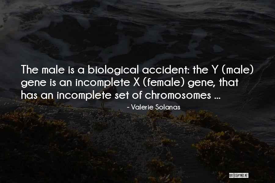 Shawnice Smith Quotes By Valerie Solanas Shawnice Smith Quotes By Valerie Solanas