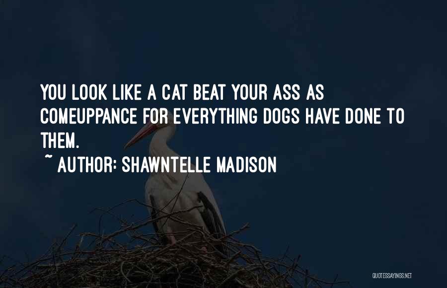 Shawntelle Madison Quotes 1410298