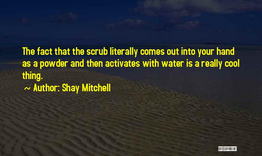 Shay Mitchell Quotes 955515