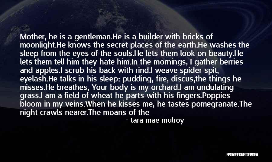 Shayesteh Hajizadeh Quotes By Tara Mae Mulroy Shayesteh Hajizadeh Quotes By Tara Mae Mulroy