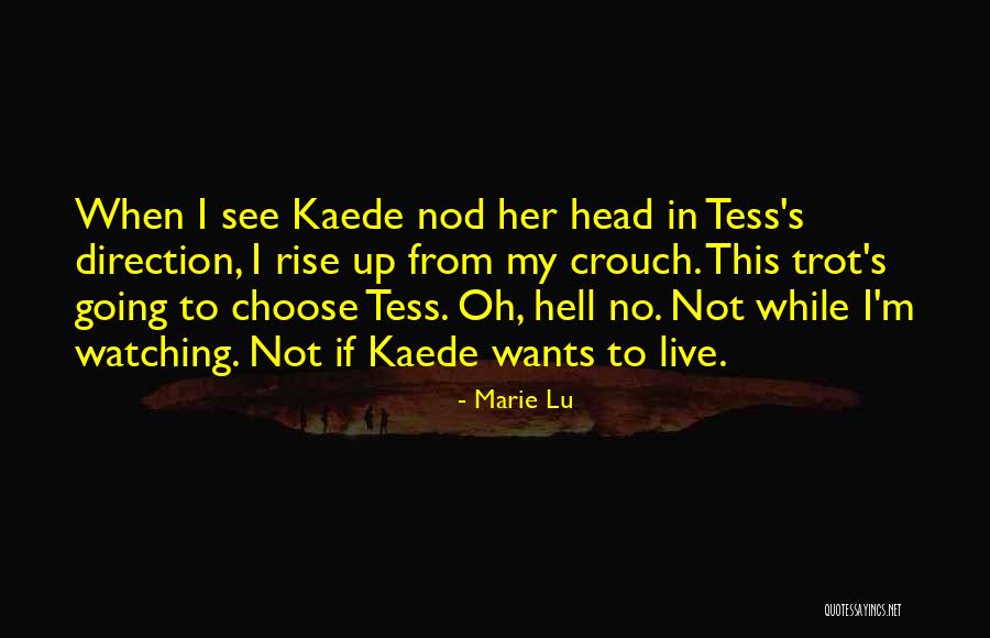Shayleigh Straus Quotes By Marie Lu Shayleigh Straus Quotes By Marie Lu