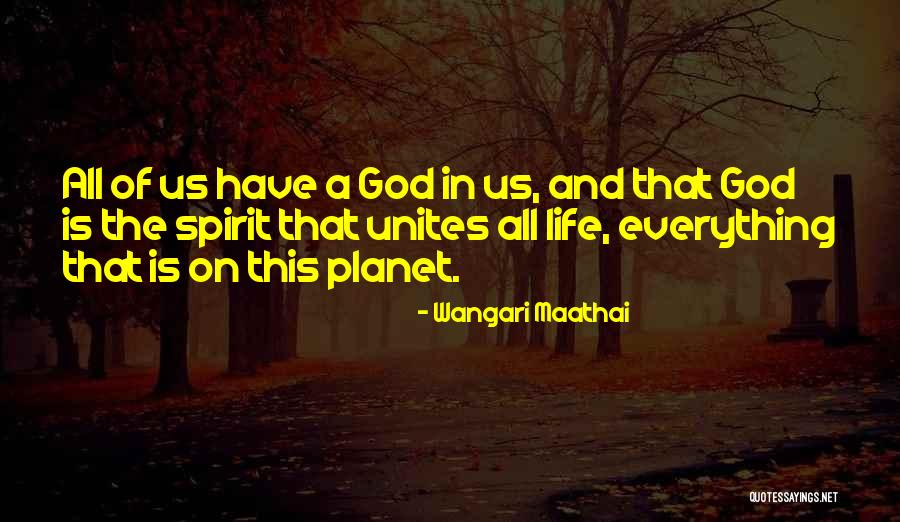 Shayne Ward Song Quotes By Wangari Maathai Shayne Ward Song Quotes By Wangari Maathai