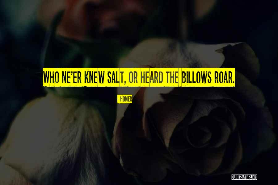 Shayolanda Quotes By Homer Shayolanda Quotes By Homer