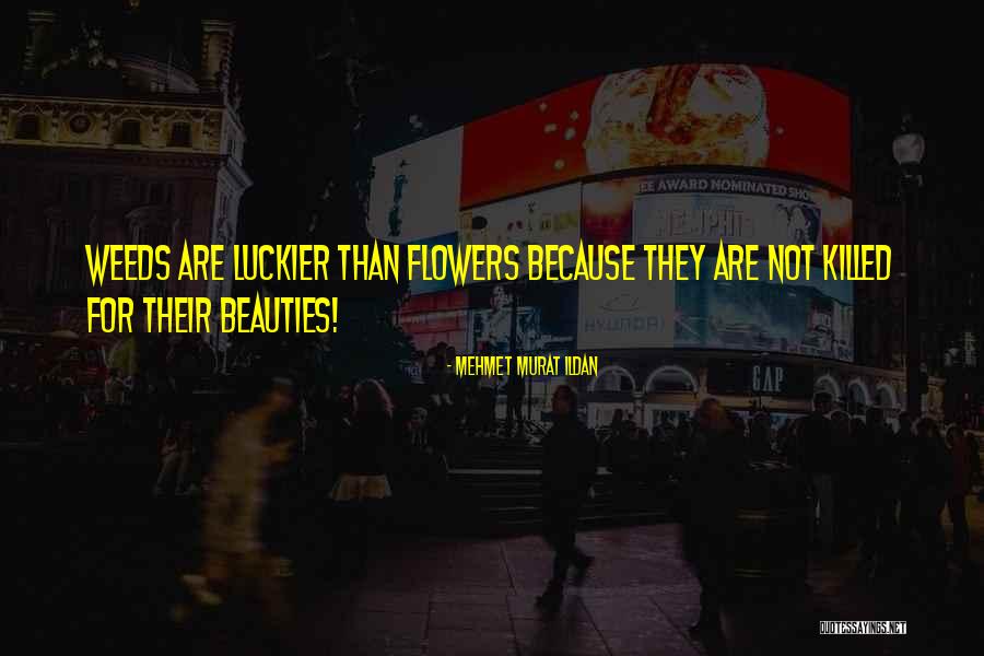 Shayro Shayari Quotes By Mehmet Murat Ildan Shayro Shayari Quotes By Mehmet Murat Ildan
