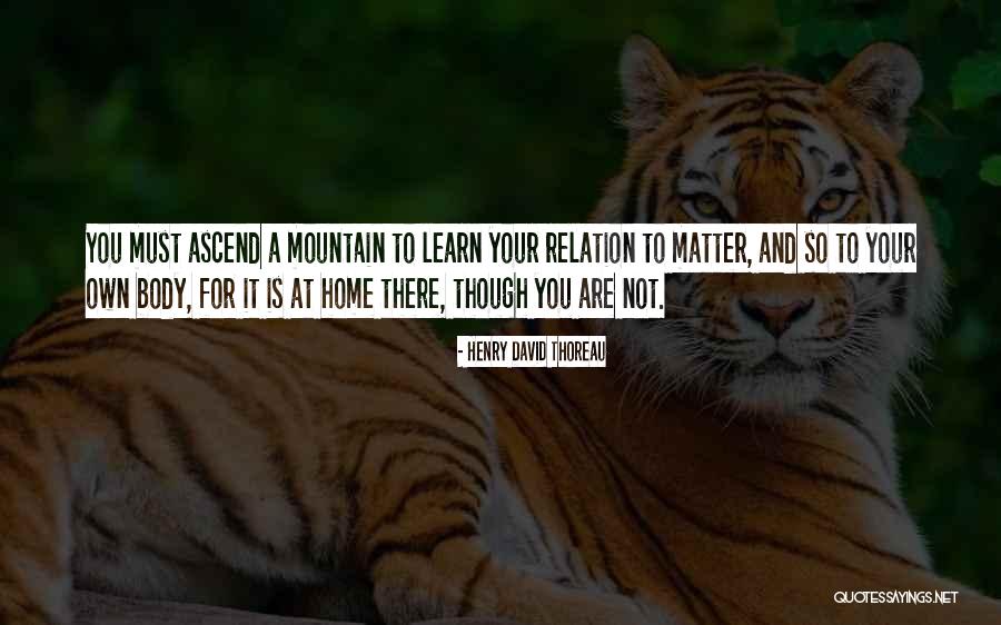 Shaytards Quotes By Henry David Thoreau Shaytards Quotes By Henry David Thoreau