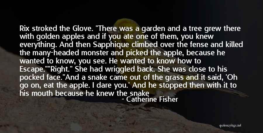 She Came Back To Me Quotes By Catherine Fisher