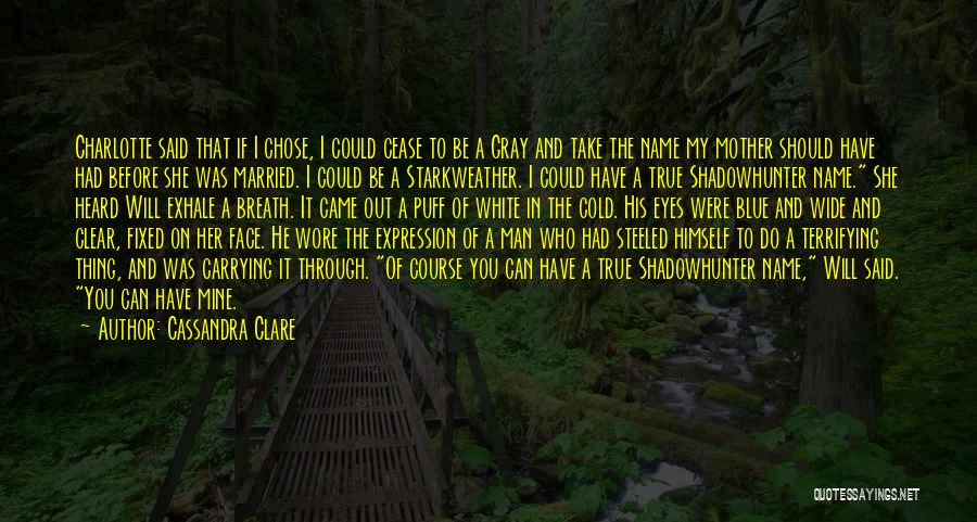 She Chose You Quotes By Cassandra Clare