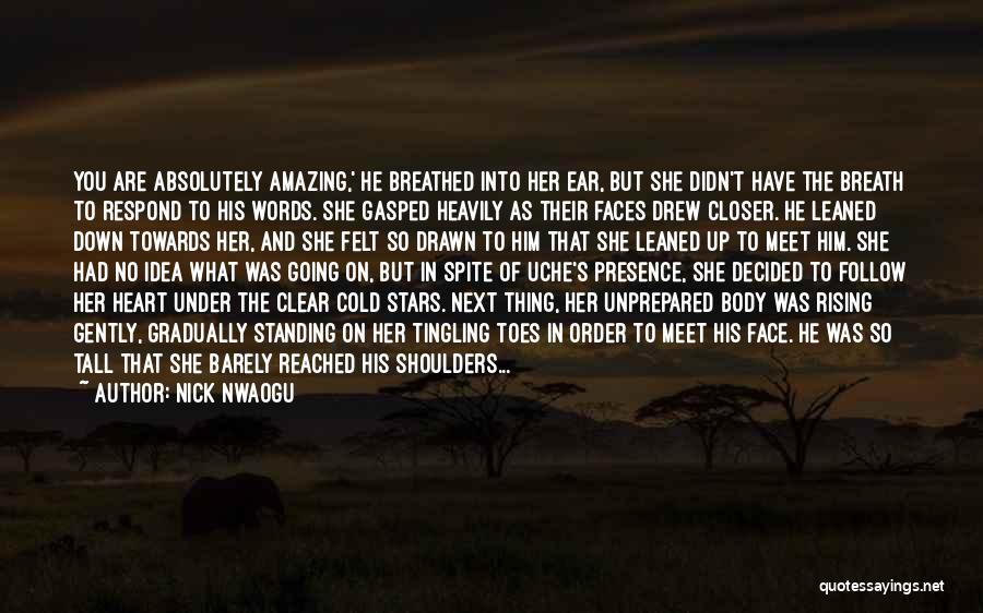 She Decided Quotes By Nick Nwaogu