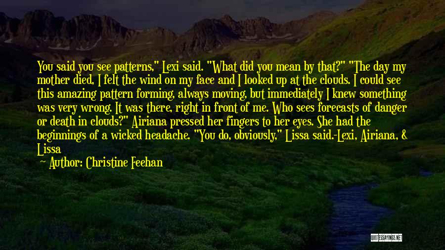 She Did Me Wrong Quotes By Christine Feehan