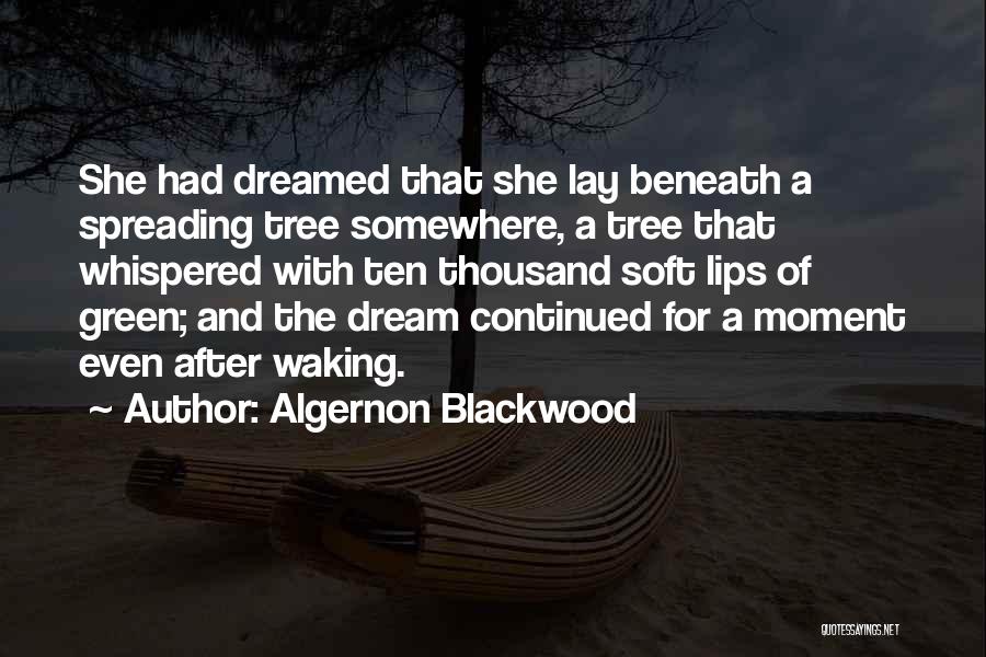 She Dreamed Of Quotes By Algernon Blackwood