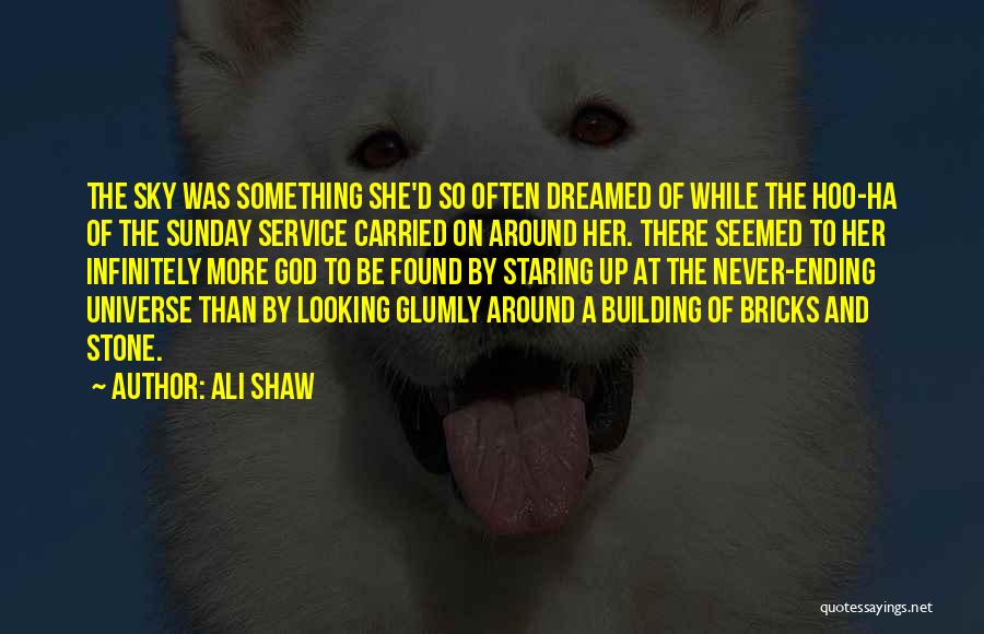 She Dreamed Of Quotes By Ali Shaw