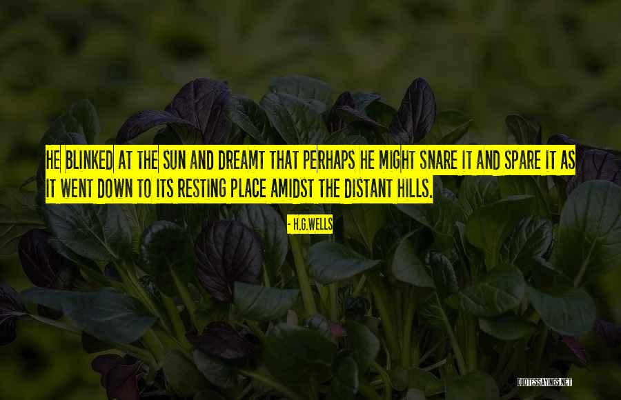 She Dreamt She Could And She Did Quotes By H.G.Wells She Dreamt She Could And She Did Quotes By H.G.Wells