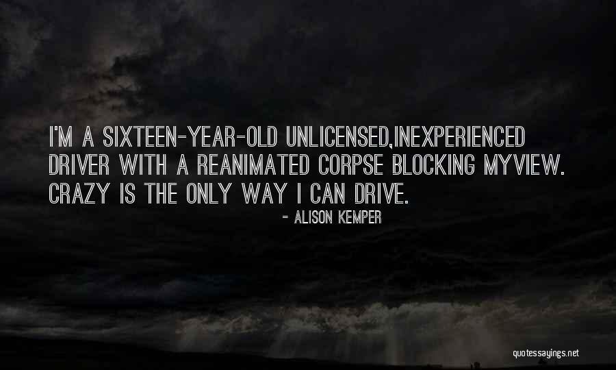 She Drive Me Crazy Quotes By Alison Kemper She Drive Me Crazy Quotes By Alison Kemper