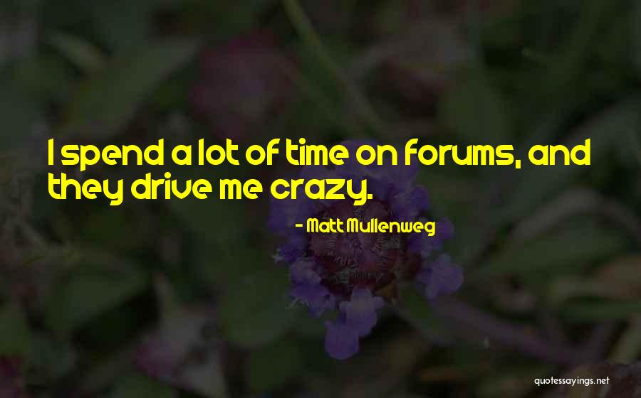 She Drive Me Crazy Quotes By Matt Mullenweg