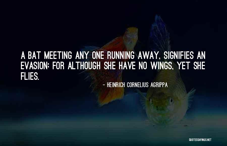 She Flies Quotes By Heinrich Cornelius Agrippa