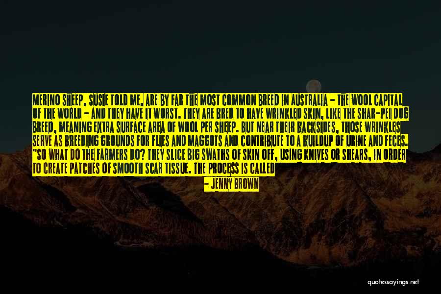 She Flies Quotes By Jenny Brown She Flies Quotes By Jenny Brown
