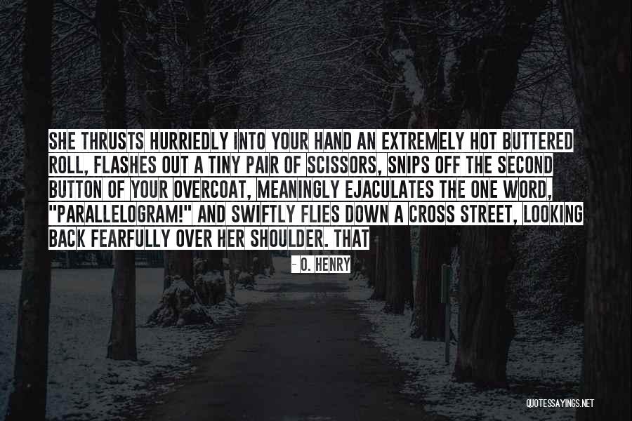 She Flies Quotes By O. Henry She Flies Quotes By O. Henry