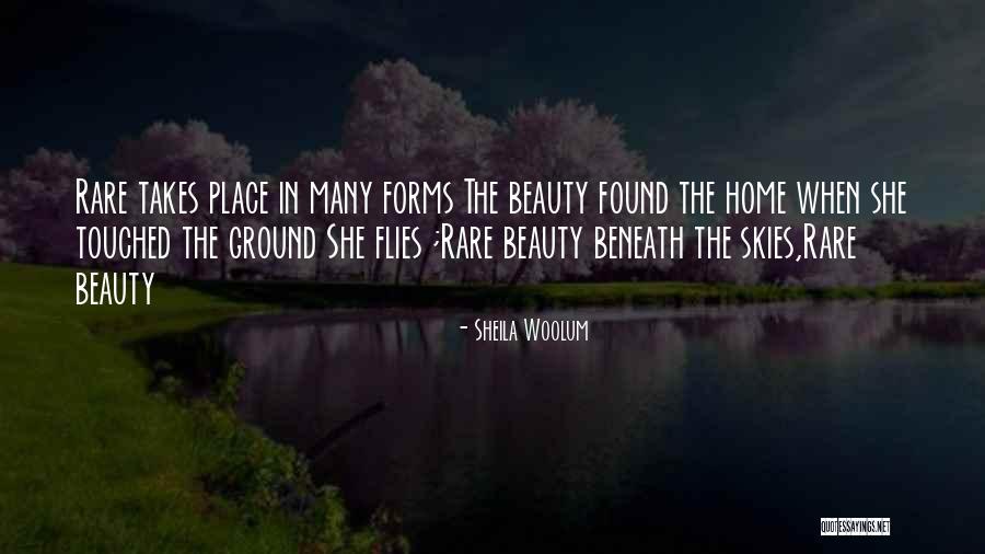 She Flies Quotes By Sheila Woolum She Flies Quotes By Sheila Woolum
