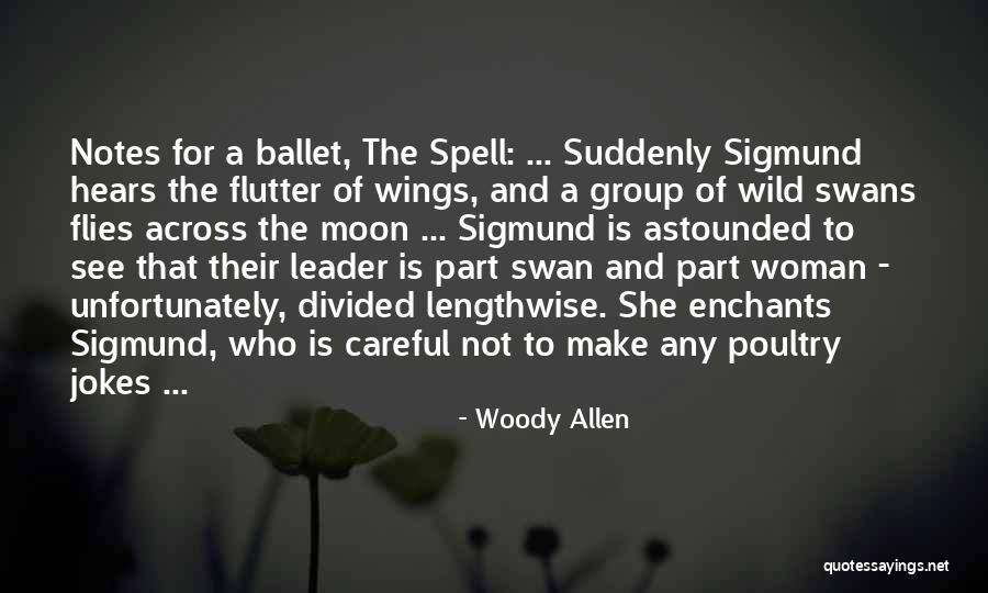 She Flies Quotes By Woody Allen