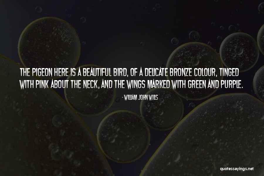 She Got Her Wings Quotes By William John Wills She Got Her Wings Quotes By William John Wills