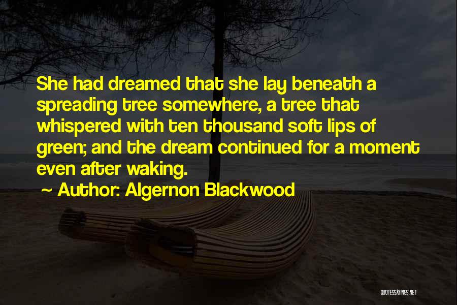 She Had A Dream Quotes By Algernon Blackwood