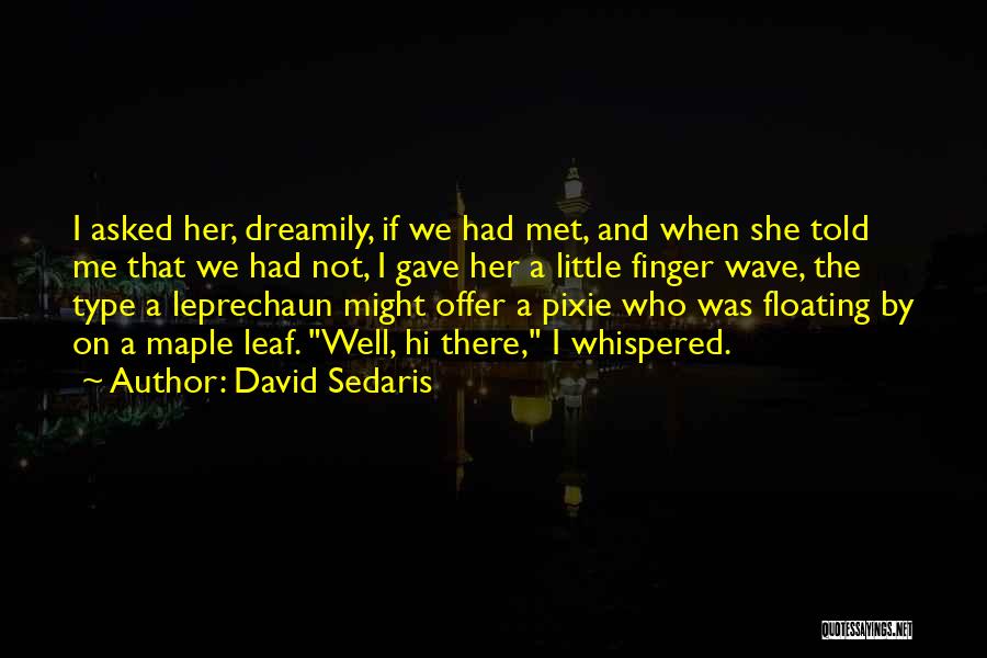 She Had A Dream Quotes By David Sedaris