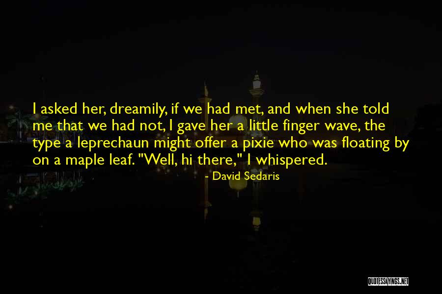 She Had A Dream Quotes By David Sedaris