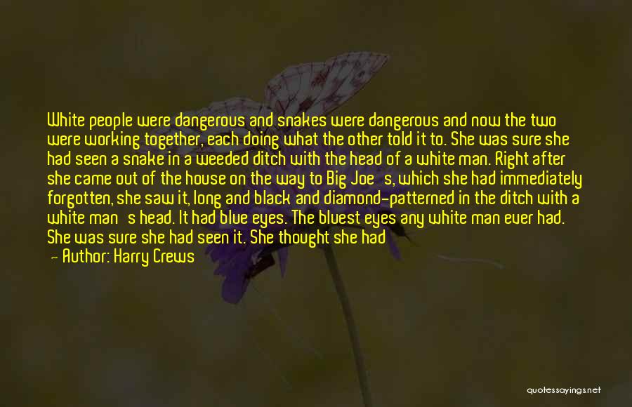 She Had A Dream Quotes By Harry Crews