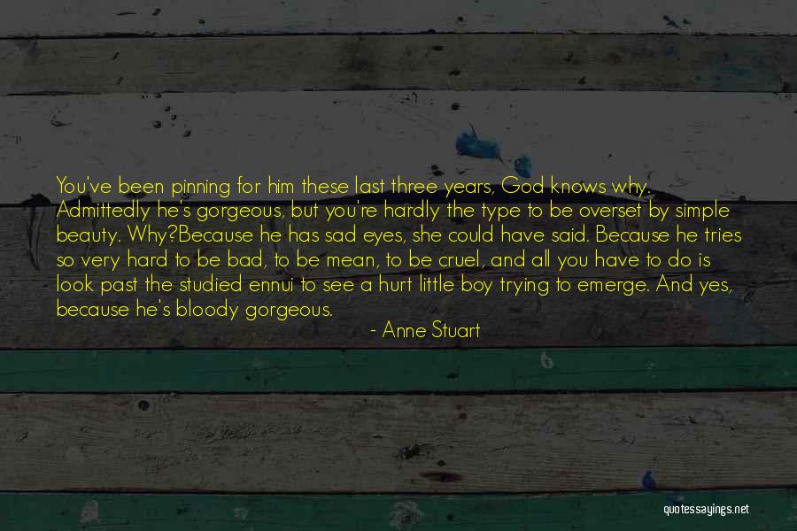 She Has Been Hurt Quotes By Anne Stuart