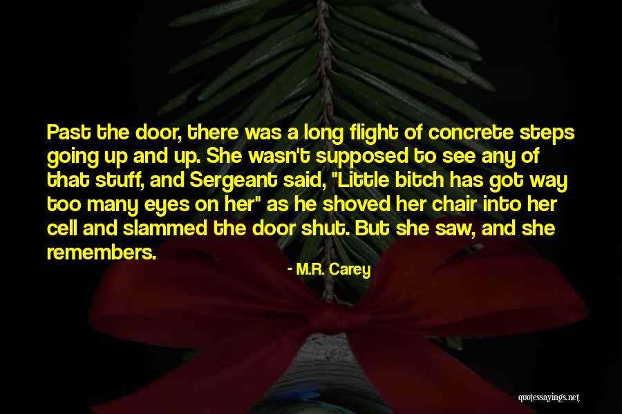 She Has Eyes Quotes By M.R. Carey She Has Eyes Quotes By M.R. Carey