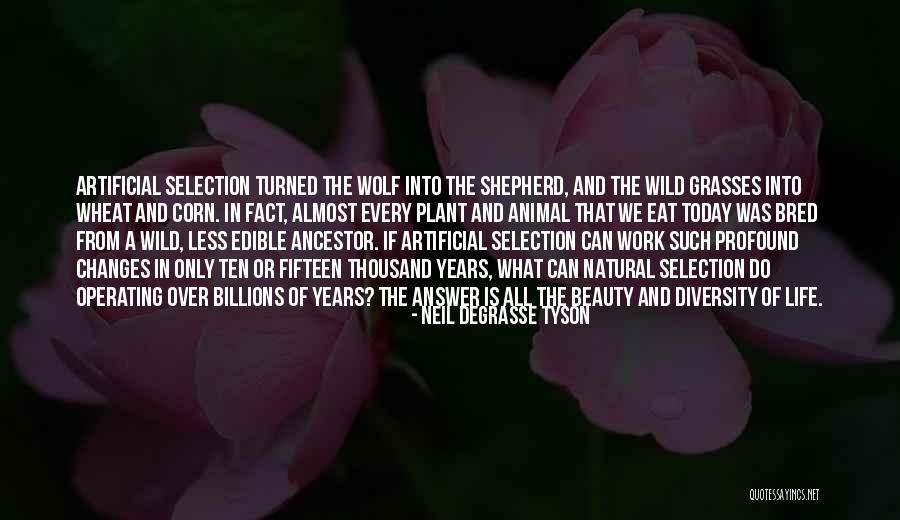 She Has Natural Beauty Quotes By Neil DeGrasse Tyson She Has Natural Beauty Quotes By Neil DeGrasse Tyson