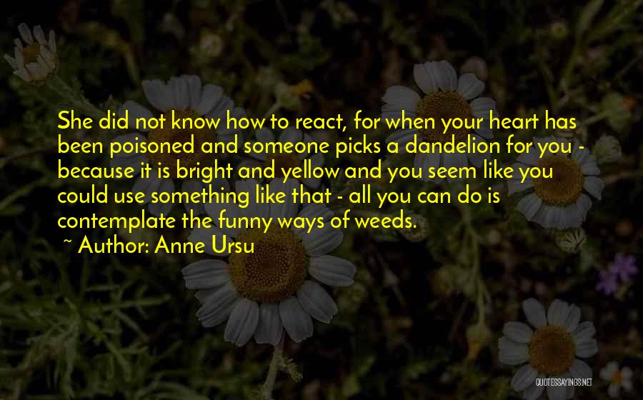 She Has Your Heart Quotes By Anne Ursu