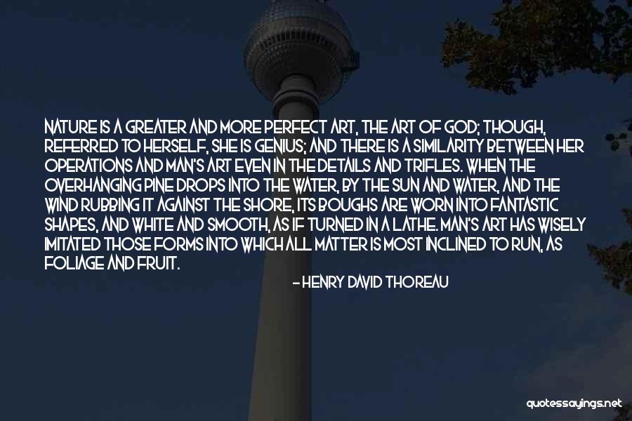 She Is Art Quotes By Henry David Thoreau