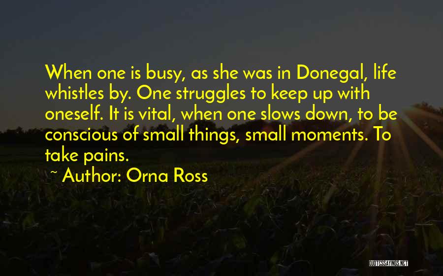 She Is Busy Quotes By Orna Ross