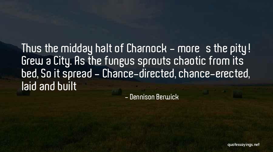 She Is Chaotic Quotes By Dennison Berwick