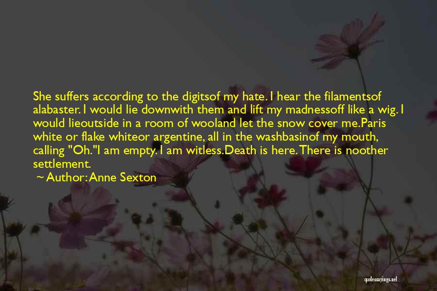 She Is Hate Me Quotes By Anne Sexton